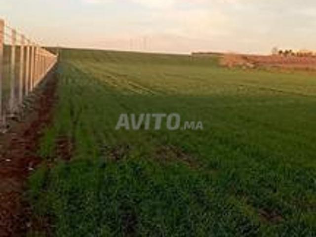 Terrain agricole