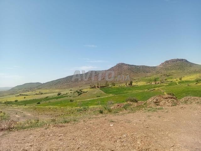 Terrain agricole
