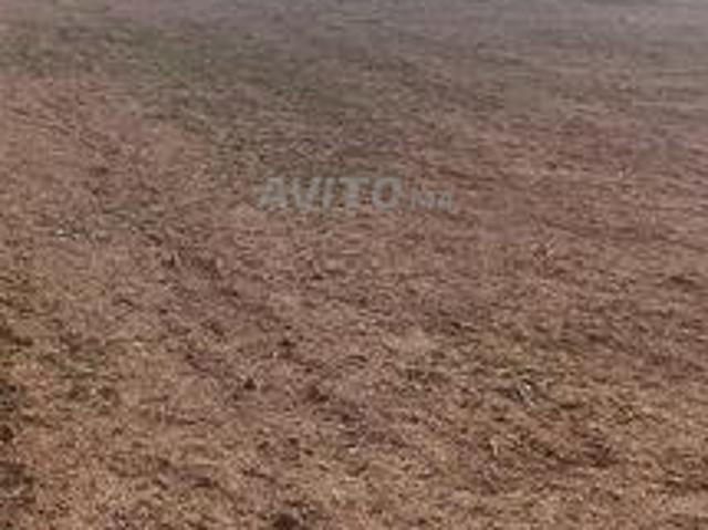 Terrain agricole
