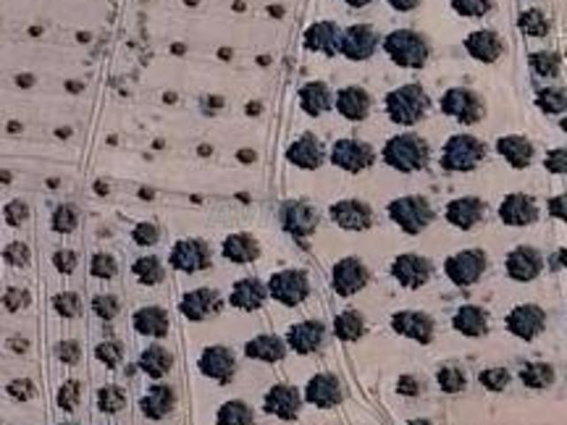 Terrain agricole