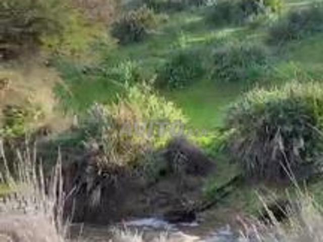 Terrain agricole