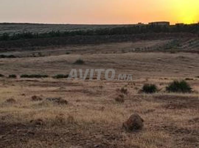 Terrain agricole