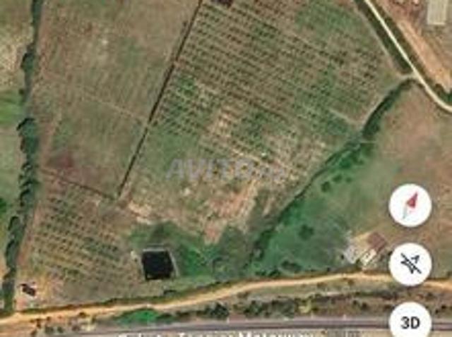 Terrain agricole 5,5Ha avec quelques avocatiers