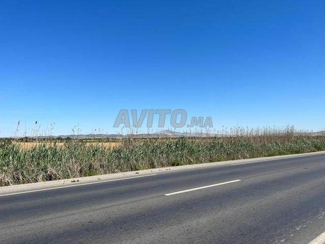 Terrain agricole 5 hectares