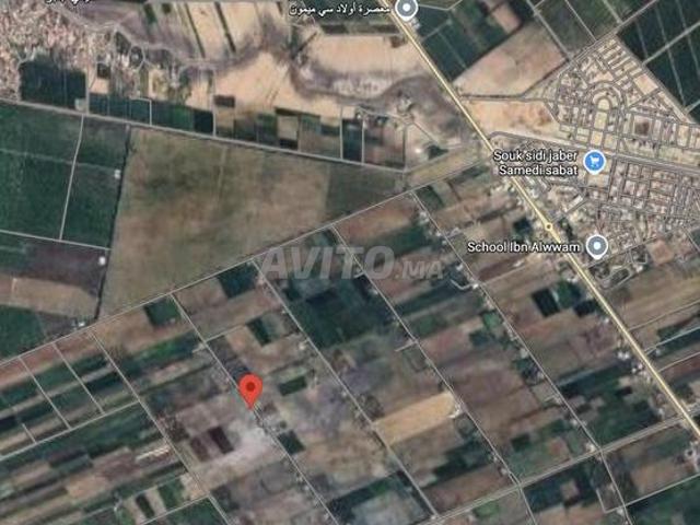 Terrain agricole 5 hectares avec puits – Sidi Jaber, Beni Mellal