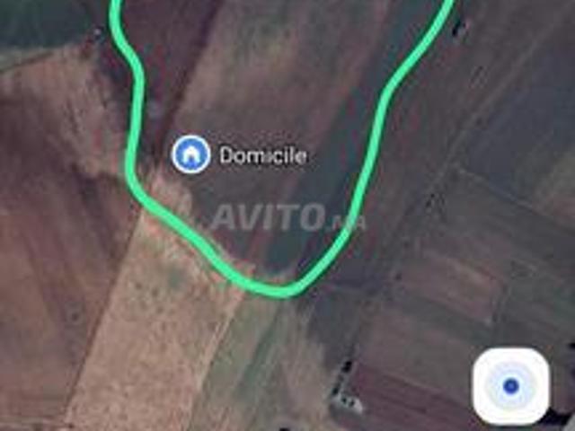 Terrain agricole 5 Ha