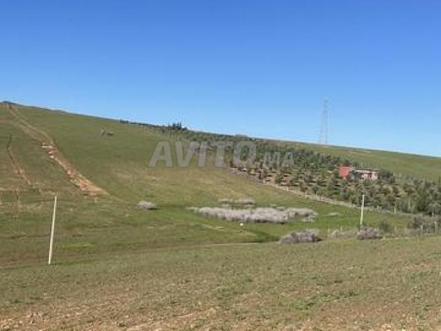 Terrain agricole