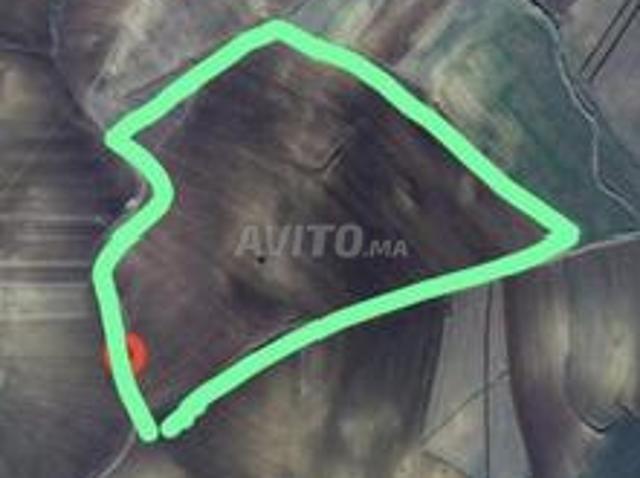 Terrain agricole