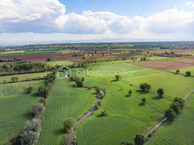 TERRAIN AGRICOLE