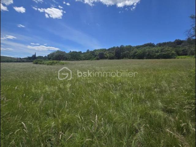 Terrain agricole