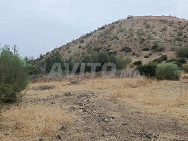 Terrain agricole