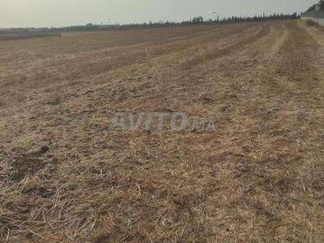 Terrain agricole 7112 m² à Benslimane