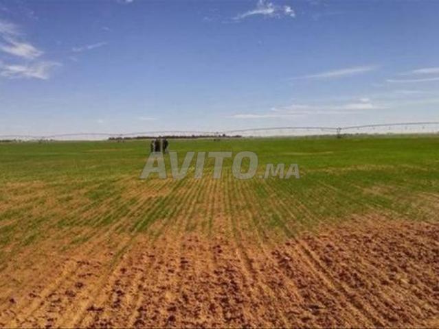 Terrain agricole