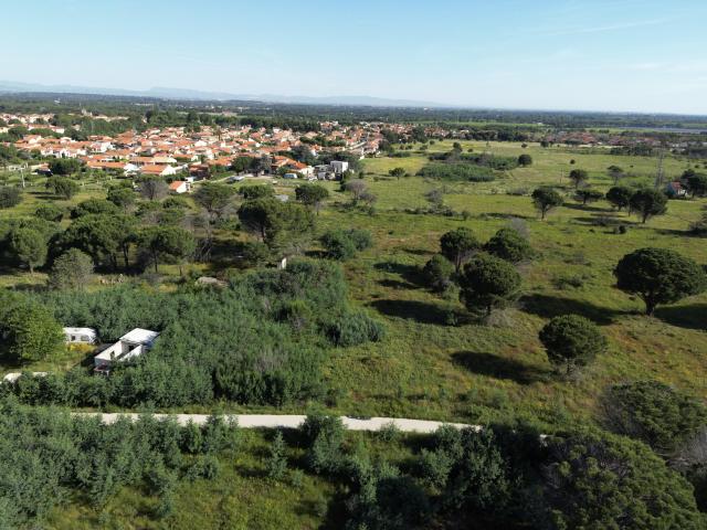 Terrain agricole