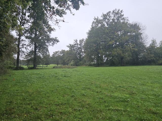 Terrain agricole 7ha