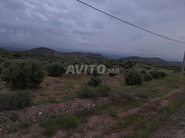Terrain agricole