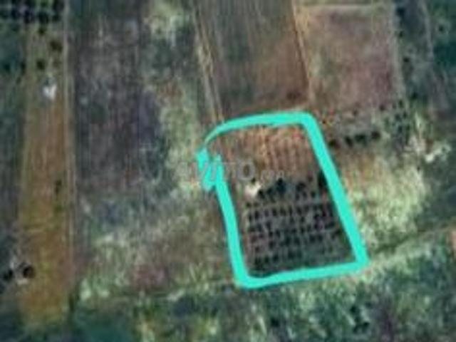 Terrain agricole