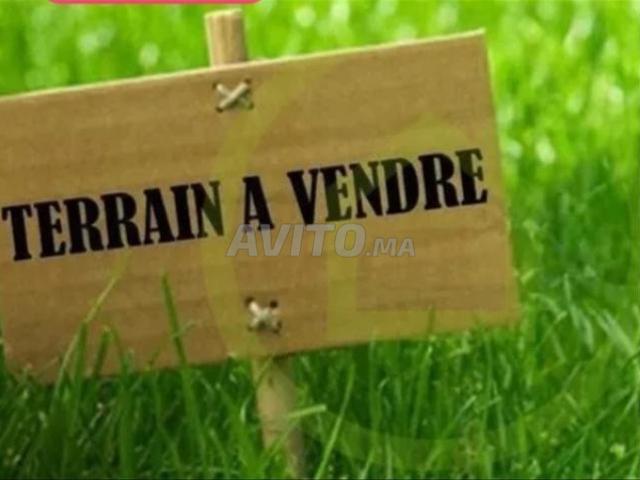 Terrain agricole