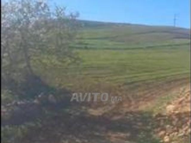 Terrain agricole 9300 m2 à vendre