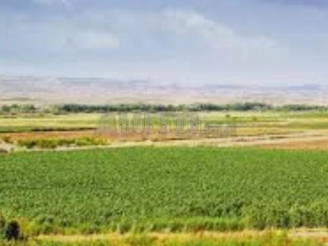Terrain agricoles 10Ha5