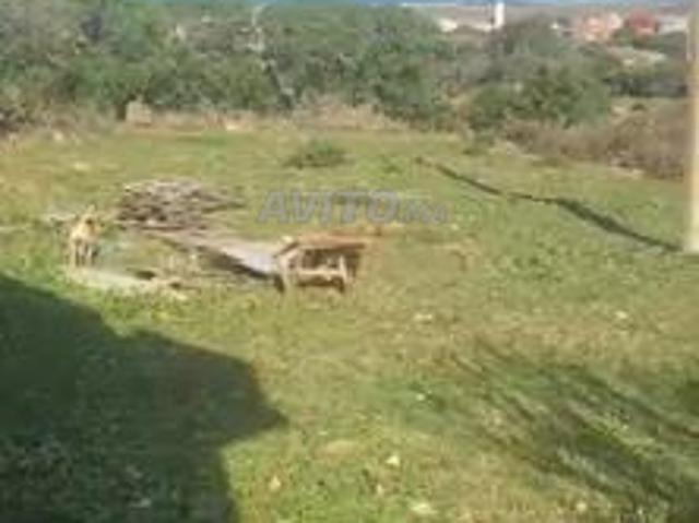Terrain Al Hajriyine