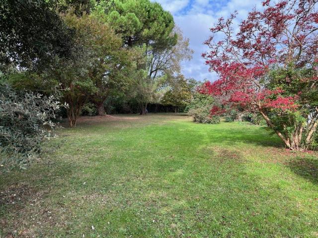 TERRAIN ARBORÉ