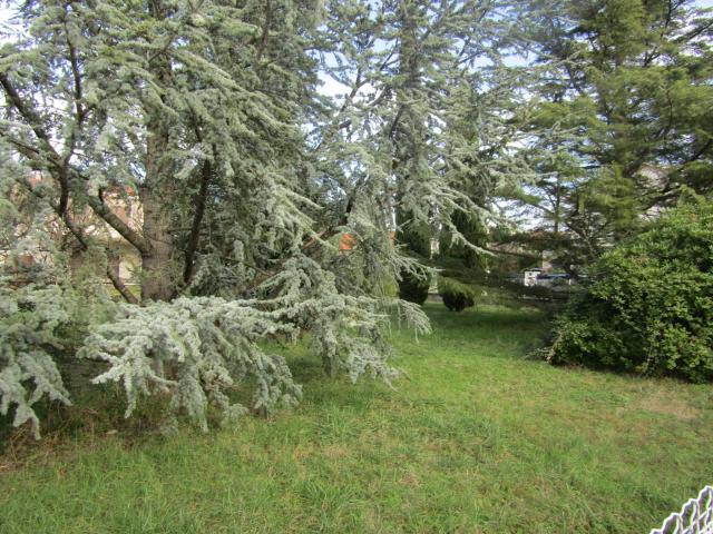 Terrain arboré de 585 m2 à 150 m du Cinéma