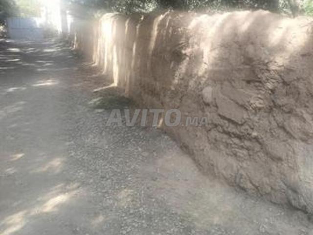 Terrain arboré et titré dans la commune de Sidi Boutayeb douar Kebdoura