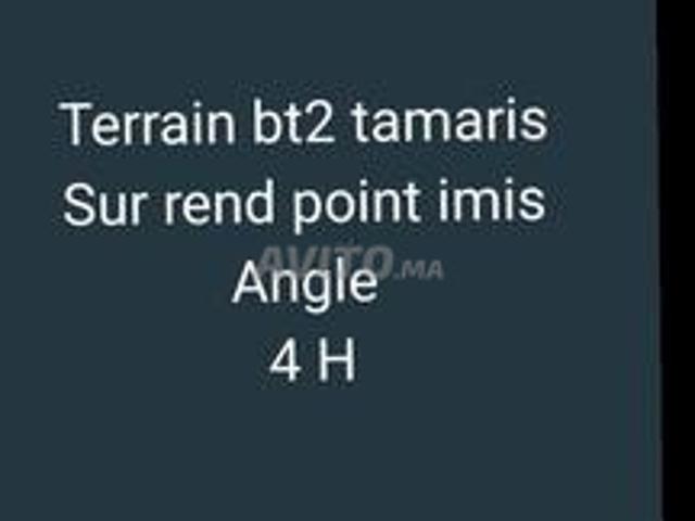 Terrain BT2 Tamaris Snack Amine