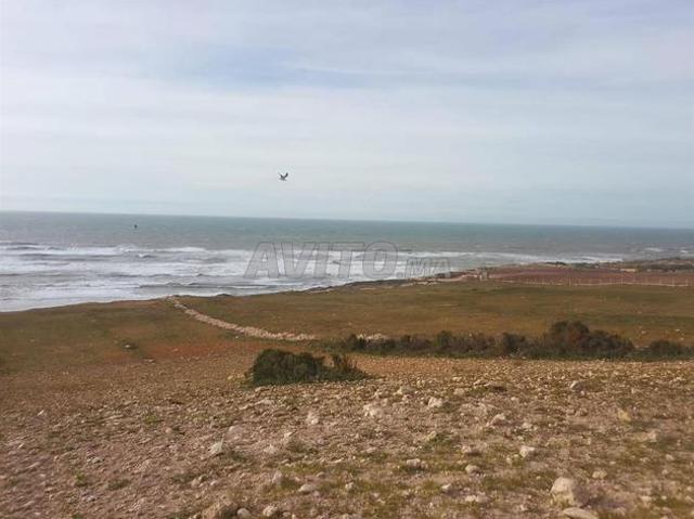 Terrain Balnéaire pied dans l’eau à Essaouira 1 Ha