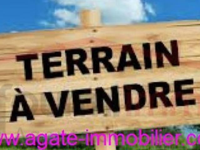 TERRAIN BOISE A VENDRE DE PLUS DE 2000 M²