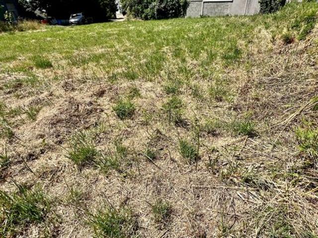 Terrain borné constructible 1057m²