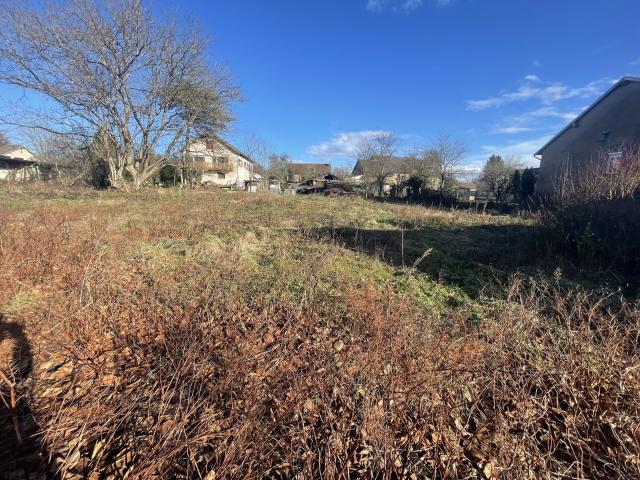 terrain borné constructible de 1011 m2