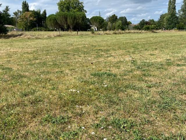 TERRAIN BORNE DE 799 M2, PLEIN CENTRE