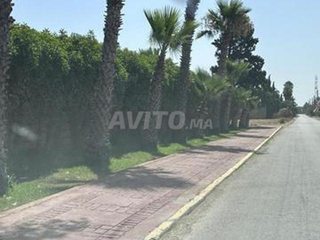 Terrain bouskoura labissa zone urbaine d7