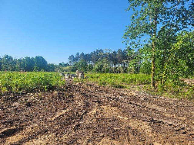 TERRAIN CENTRE SALLES