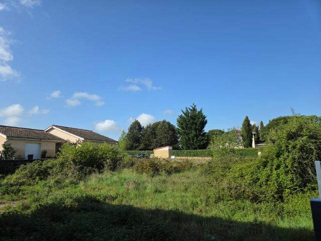 Terrain CHAPONNAY