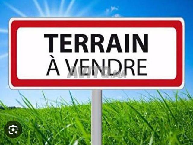 Terrain chouka bien orienté