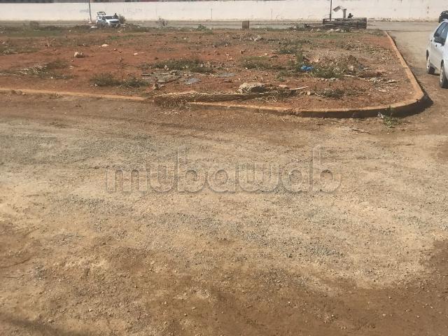Terrain chouka sidi abdella r3