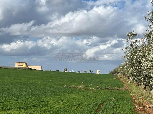 Terrain commercial a vendre Meknès boufkran