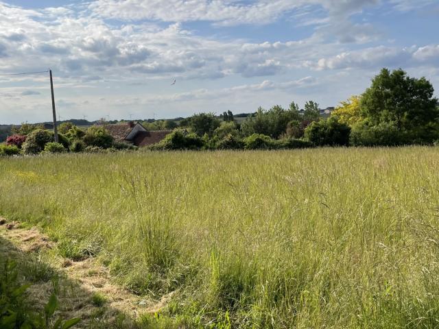TERRAIN CONCTRUCTIBLE NON VIABILISE COUSSAY LES BOIS