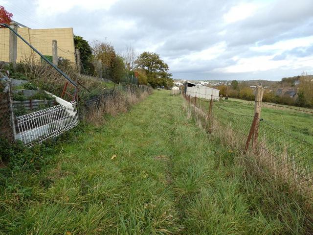 Terrain Conde En Normandie 1hectare