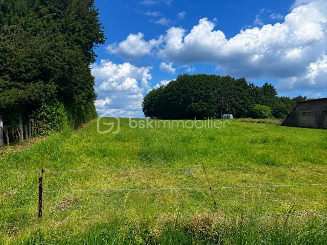 Terrain constructibe de 6164 m² avec CU positif