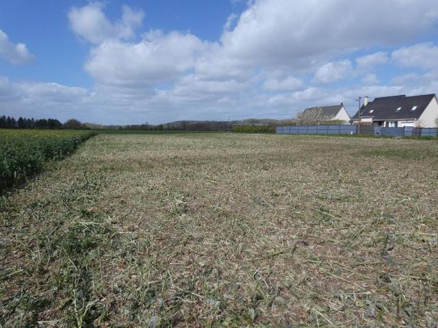 Terrain constructible 1018 m²