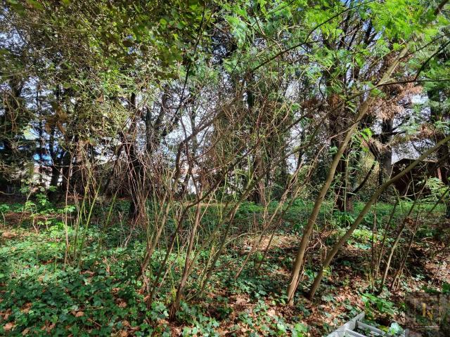 TERRAIN CONSTRUCTIBLE 1030 M 2 sur Saint Brevin les Pins, quartier Rochelets 44250 Pays de Retz