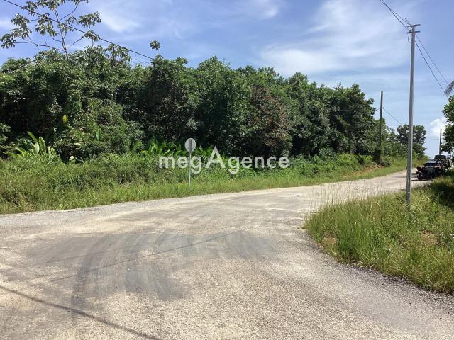 Terrain constructible 10 000m2 commune de Macouria