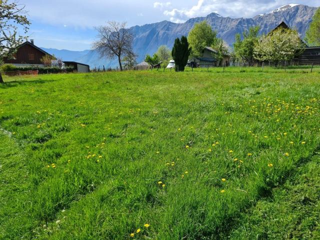 Terrain constructible