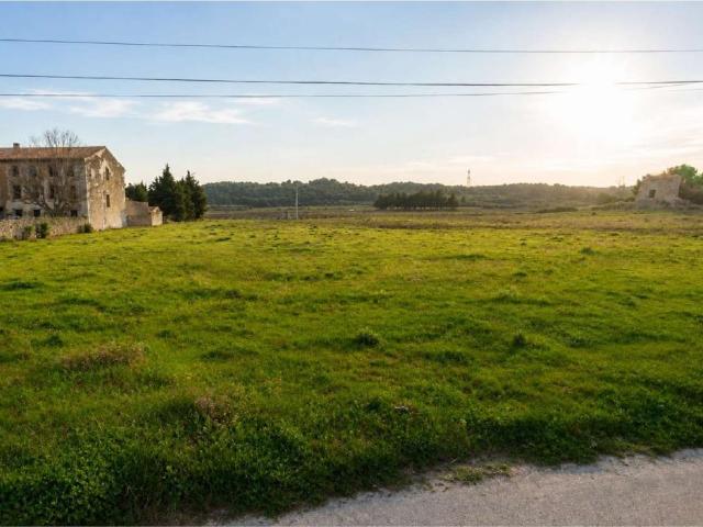 Terrain constructible