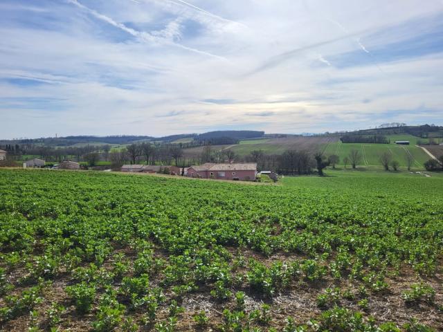 Terrain Constructible 1102 m2 Vue Imprenable sur les Pyrénées A vendre