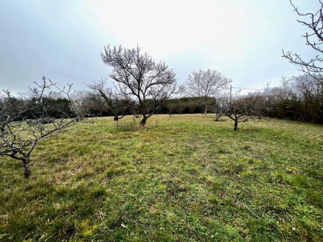 TERRAIN CONSTRUCTIBLE 1264 m²